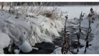 Video: 22 seconds @ 22 below