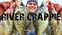 Video: Ice-fishing for St. Croix crappies