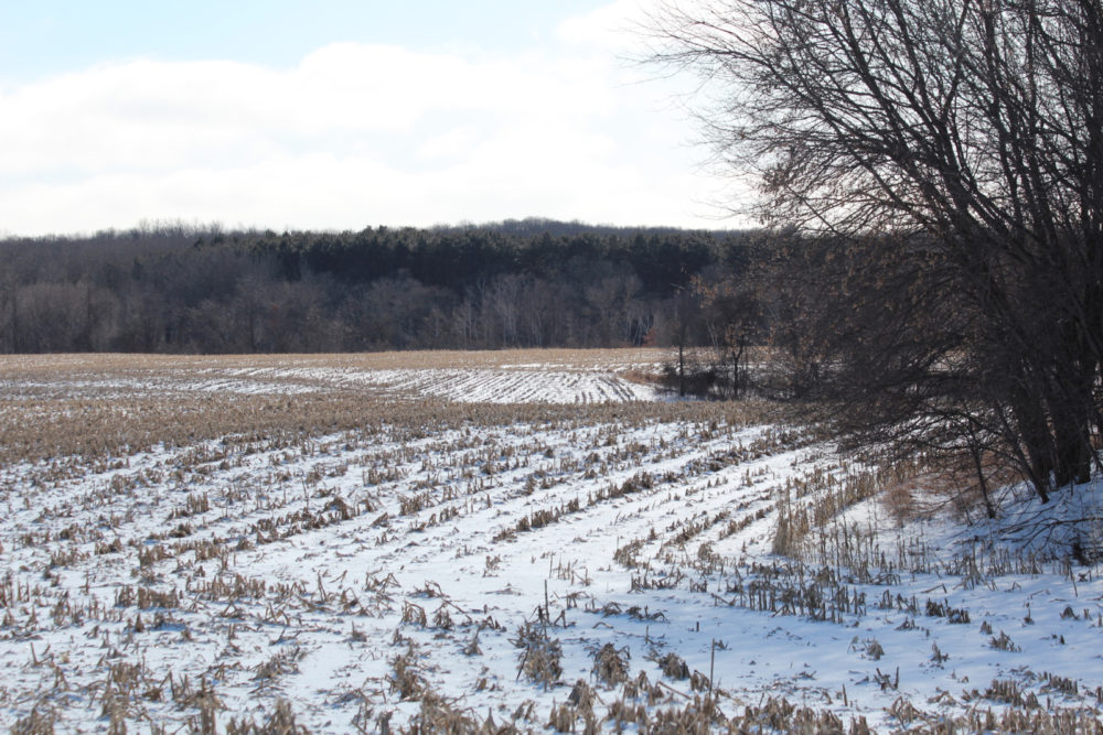 Farmland protected by the conservation easement