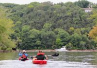 Kinnickinnic