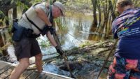 A fitting Fourth finalé: Entangled eagles rescued near Marine on St. Croix 66274917_2816205325088551_9142887966090199040_o (1)