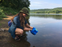 Search for invasive species during two citizen stewardship events