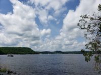 Progress report: Lots left to do for Lower St. Croix’s water as clean-up continues