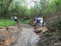 Lending a helping hand to Afton’s Trout Brook