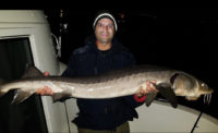 Sturgeon fishing on the St. Croix: What you need to know to catch a living dinosaur