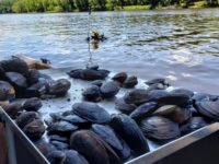 Wisconsin DNR celebrates Endangered Species Day