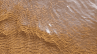 New stretches of St. Croix River and its tributaries declared impaired