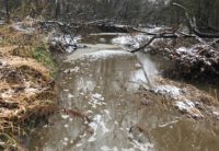 Dairy production facility fined for polluting St. Croix River tributary
