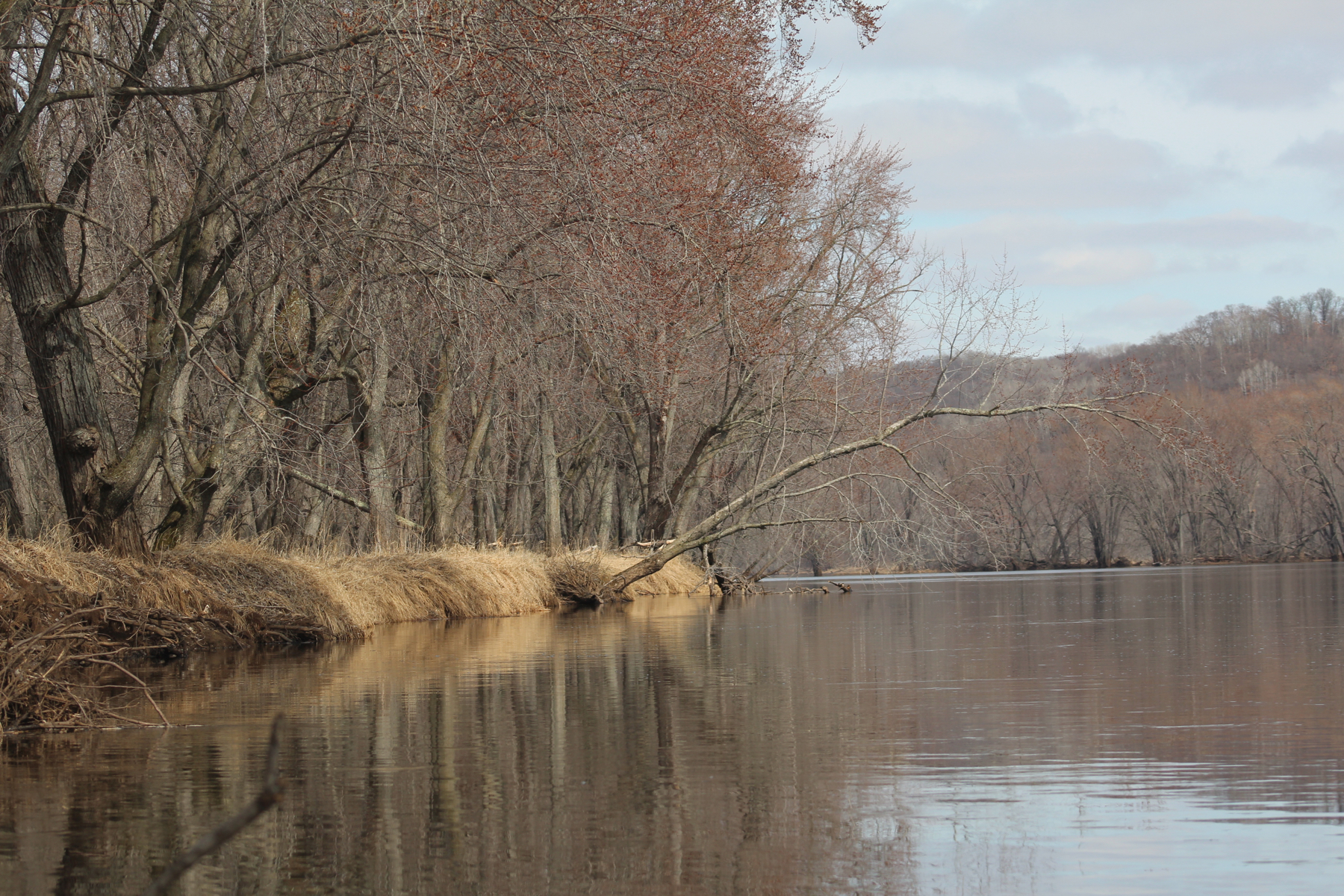 River of refuge