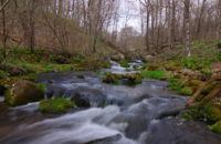 Guest photo galleries: Seasonal sights along the St. Croix