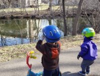 Feathered family fun: Home birdwatching contest connects kids and parents with natural curiosity Loony-Loons-B-J-Birding