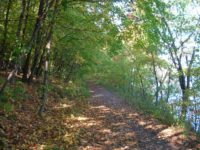 Afton State Park Phenology, Week of July 17, 2020