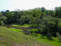New nature park on Valley Creek created through partnership