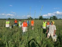 Prairie protectors ask for help keeping Blueberry Hill in public hands