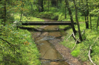 Afton State Park Phenology, Week of August 14, 2020