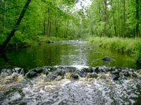 Snake-River-MPCA