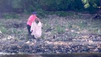 Naturalist rescues injured osprey on the St. Croix River