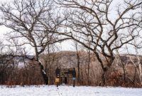 Afton State Park phenology Dec. 8 to 21