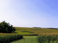 Wisconsin environmental and agricultural groups will partner to push for clean water, thriving farms