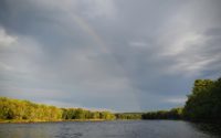 From parks to pigs: The 10 most popular St. Croix 360 posts of 2020