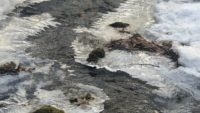 Winter water: What happens under the ice?