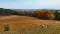 Hudson art center hosts 50th anniversary exhibit to celebrate Afton nature preserve