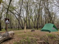 Upcoming St. Croix River Association events: Skiing, camping, and protecting forests