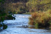 New preserve will let students, community, and anglers experience the Kinnickinnic River