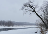 Cold comfort