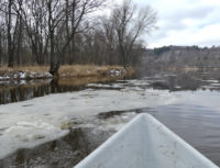 Back on the water: Encounters with icebergs, beavers, and birds