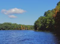 Coalition working to permanently protect former Wilder Forest and nearby lands and waters