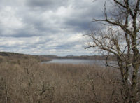 Afton State Park phenology, week of April 16