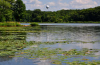 Two Chisago lakes achieve clean water restoration goals ChisagoSWCD1
