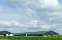 Livestock groups sue to stop Wisconsin from requiring pollution permits