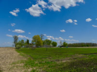 Company applies for permit to operate ‘hog factory’ in Trade River watershed