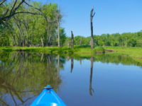 The power of a paddle