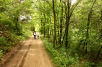 Afton State Park phenology, July 16 to 22 17749968274_c7f617630b_k