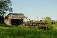 Afton State Park Phenology August 11 to August 17