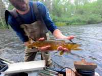 Good news for Namekagon River trout