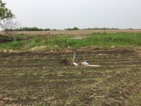Wetland rules put hog factory on hold