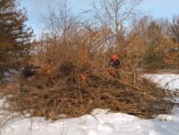 National Park Service to burn brush piles 150944999_4103611916350658_9195139329807539797_n