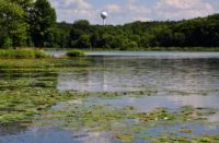 Minnesota agency announces grants to protect clean water in St. Croix region South-Center-Lake-Center-City-Ann-Wessel
