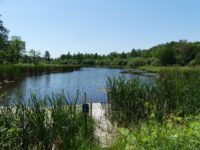 Conservation effort almost complete for Science Museum land along St. Croix River