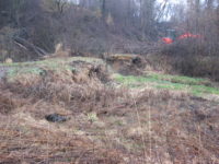 Input invited on next phase of Afton stream restoration