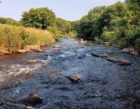 Rare fungal infections reported around Willow River