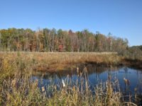 Nature center and unique lake in Kettle River watershed permanently preserved