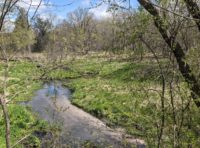 Protection partners announce conservation of Science Museum lands