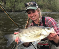 St. Croix River’s most harvested fish faces changing regulations