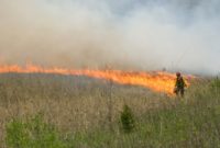 National Park Service to conduct controlled burns, April 25 to May 20