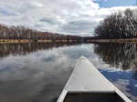 The sublime solitude of spring